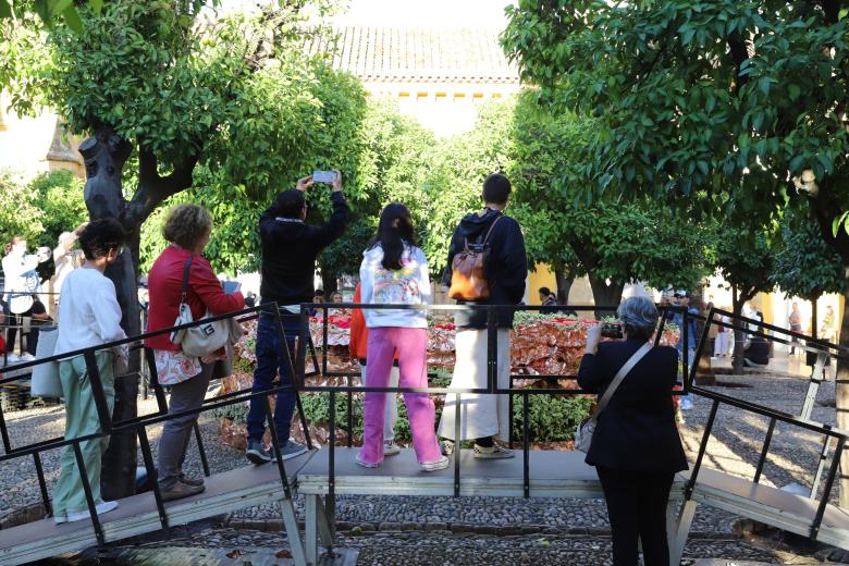 Flora Vence A La Lluvia Y Ya Ofrece Su Festival Del Color