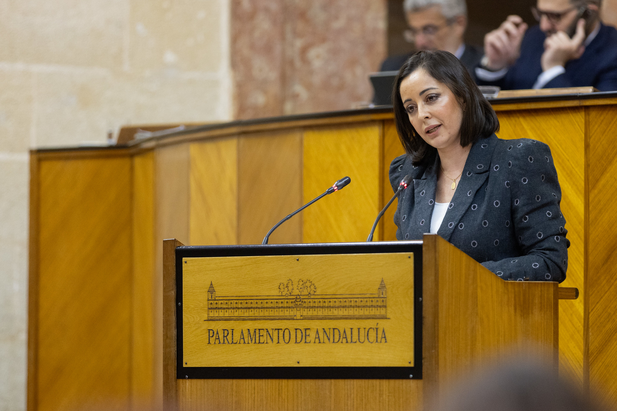 Vox Condena La Defensa Del Aborto De La Consejera Andaluza De Igualdad