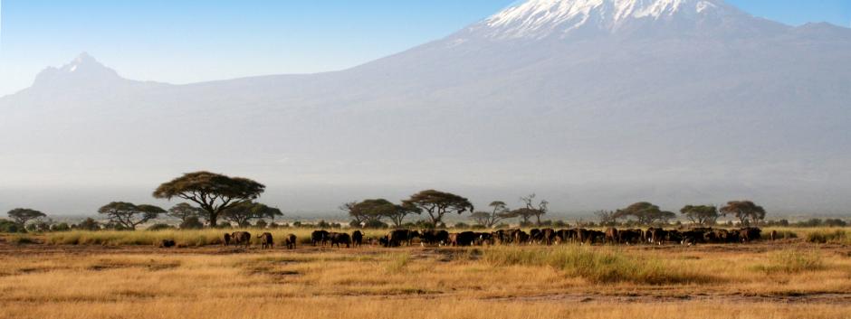 El Kilimanjaro es el pico más alto del continente africano