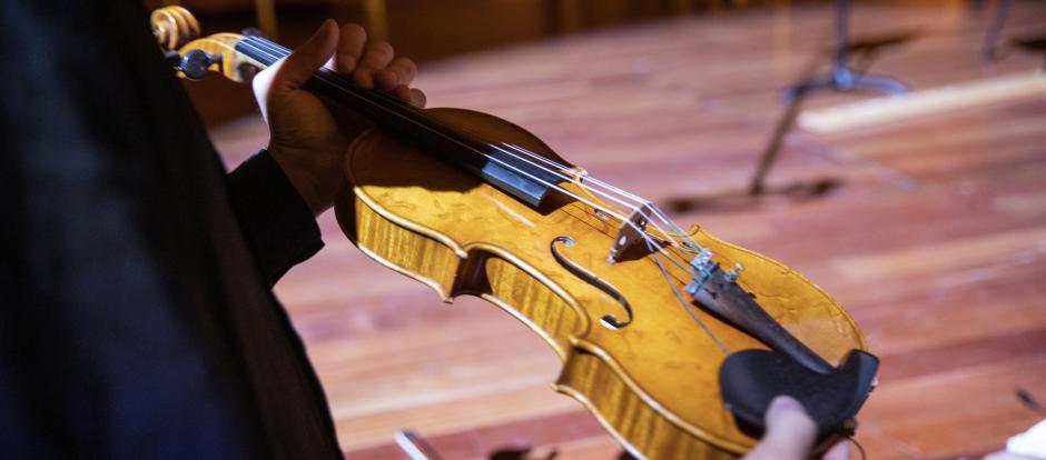 Violin