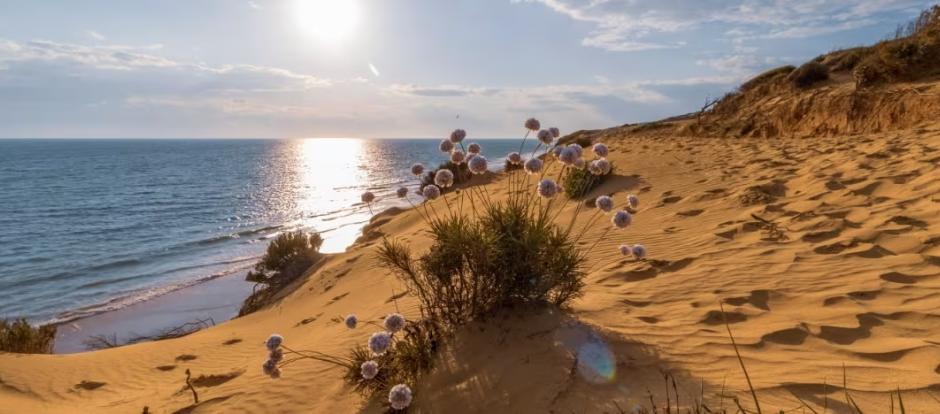 Dunas Matalascañas