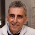 José R. Penadés