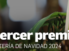 Tercer premio, Lotería de Navidad