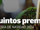 Quintos premios, Lotería de Navidad