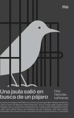 Cubierta de 'Una jaula salió en busca de un pájaro'