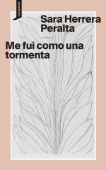 Cubierta de Me fui como una tormenta