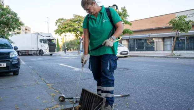 Labores de desinsección en Mairena del Aljarafe