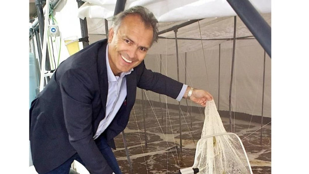 Bjorn Aspheim, fundador de Noray Seafood
