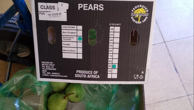 Peras de Sudáfrica en los comedores escolares de Aragón
