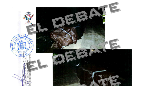 Informe de la Guardia Civil sobre el accidente de Adamuz (Córdoba) II