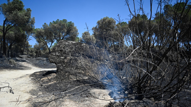 Zonas calcinadas tras el paso del incendio de la Sierra Oeste de Madrid, a 30 de julio de 2026