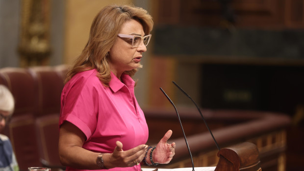 La diputada de Coalición Canaria Cristina Valido interviene durante una sesión plenaria en el Congreso de los Diputados