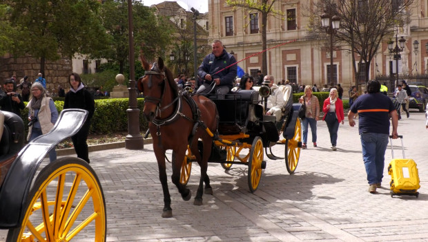 Imágenes de turistas y visitantes en las calles, bares, restaurantes y hoteles de Sevilla durante la Semana Santa de 2024