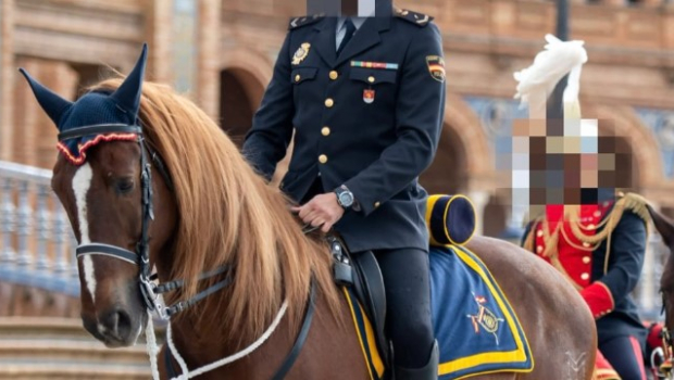 Este es 'Pomo', el caballo lesionado en acto de servicio