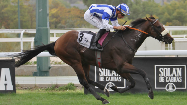 "Orión" y Ricardo Sousa, venciendo en la 6ª Carrera, el 'Premio Cría Nacional - Fernando Melchor'