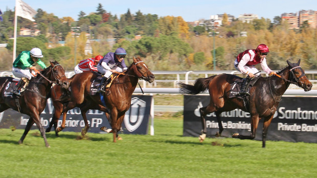 'Love for Life' con Sylvain Ruis, venciendo en el 'Gran Premio Antonio Blasco 2023'