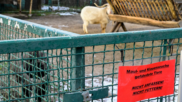 Una señal avisa de no tocar a los animales en una granja en Alemania por la fiebre aftosa