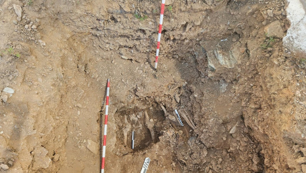 Parte de restos hallados en la fosa del cementerio de Valverde del Camino, dentro de los trabajos realizados en base a la Ley de Memoria Democrática.

AYUNTAMIENTO DE VALVERDE DEL CAMINO
13/6/2024