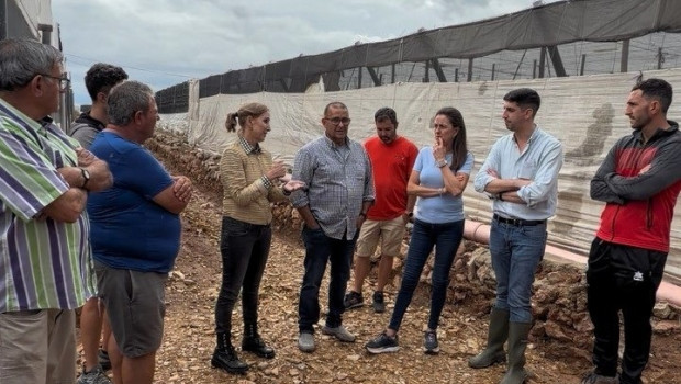 Visita a una zona de invernaderos afectada por las lluvias de la dana Adam en El Ejido (Almería).

REMITIDA / HANDOUT por AYUNTAMIENTO DE EL EJIDO
Fotografía remitida a medios de comunicación exclusivamente para ilustrar la noticia a la que hace referencia la imagen, y citando la procedencia de la imagen en la firma
19/10/2026