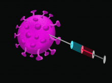 Los virus pueden infectar a las bacterias