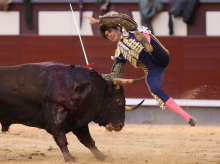 El torero Sebastián Castella con su segundo toro, durante el vigésimo primer festejo taurino de la Feria San Isidro