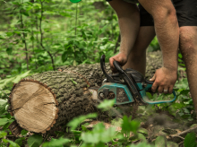 Un hombre talando un tronco