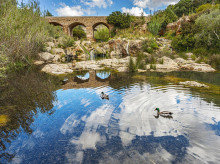 Puente sobre el único río de las islas Baleares.