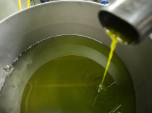 Producción de aceite en España