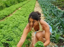 Trabajo en una granja ecológica.