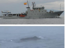 El patrullero español Arnomendi se cruza con una ballena en aguas de Terranova