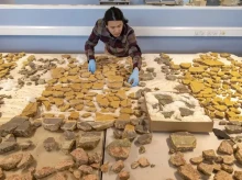Un arqueólogo recompone un fresco de 1.800 años de antigüedad que cubría los muros de una antigua villa romana