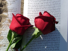 La rosa y el libro, símbolos de Sant Jordi