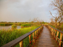 Las Tablas de Daimiel