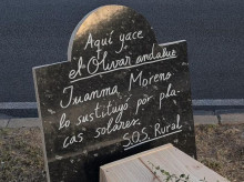 La campaña contra la tala masiva de olivos en Jaén ha llegado hasta la cumbre de la ONU en Sevilla