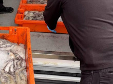 336 kilos de alimentos estaban en malas condiciones y ya se había superado su fecha de caducidad
