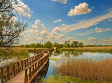 Tablas de Daimiel, Ciudad Real