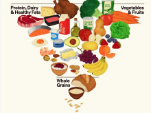 Pirámide nutricional de EE.UU.