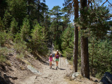 Woman and girl from behind walking along a trail on the Camino Schmidt route among trees in a forest in the Guadarrama mountains, in summer, in Madrid, Spain