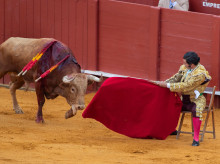 Morante torea con la muleta sentado en una silla