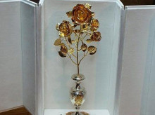 Rosa de Oro