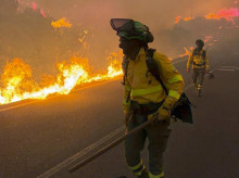 Bomberos trabajan en el incendio de Los Gallardos (Almería)