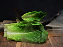 Lechuga iceberg