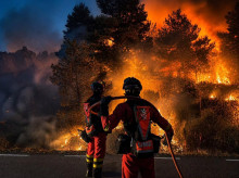 Incendio La Mierla, Guadalajara