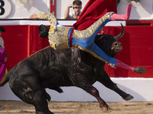 El diestro Marco Pérez tras sufrir una cogida en su faena durante la corrida de toros celebrada este sábado en la Feria de Santiago de Santander.