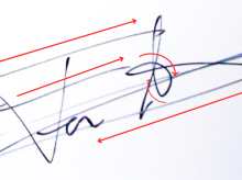 La firma de Ferrán Adrià