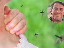 El Dr. Rojas explica por qué pican los mosquitos