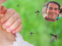 El Dr. Rojas explica por qué pican los mosquitos