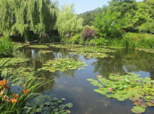 Imagen del jardín acuático de la Casa Monet en Giverny