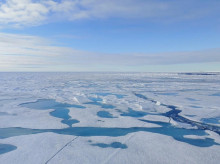Hielo marino del Ártico
