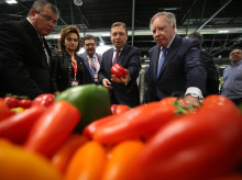 El ministro de Agricultura, Luis Planas, en una imagen de archivo